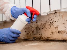 Best Crawl Space Mold Remediation  in Williamson, AZ